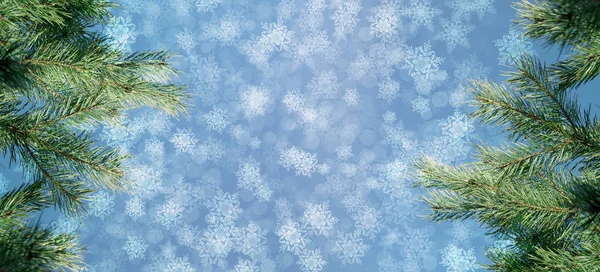 Різдвяний Фон Ялинковими Гілками Вогнями Сніжинками Боке — стокове фото
