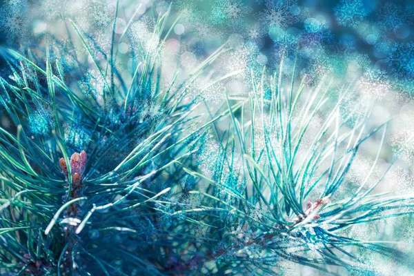 Fondo Navidad Con Ramas Abeto Brillo Copos Nieve Bokeh —  Fotos de Stock