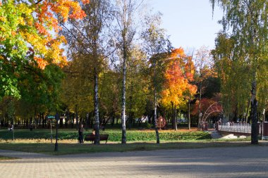 Sonbahar manzara. Park renkli kırmızı ve sarı yaprakları ile sonbahar ağaç arka plan.