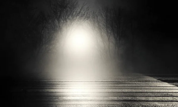 Υπόβαθρο Άδειο Δρόμο Νύχτα Φθινοπωρινά Δέντρα Φεγγάρι Ασφάλτου Ομίχλη Καπνός — Φωτογραφία Αρχείου