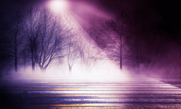 Background of empty street at night. Asphalt, autumn trees, moonlight, reflection, smoke, fog