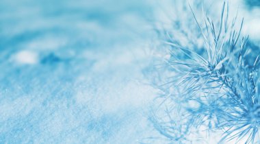 Noel ışık arka plan, kar, çam dalları, kar taneleri, bokeh