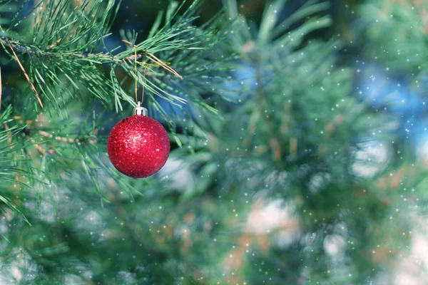 Kırmızı Noel Top Köknar Dalı Noel Arka Plan Kar Taneleri — Stok fotoğraf