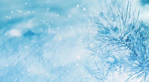 Noel ışık arka plan, kar, çam dalları, kar taneleri, bokeh