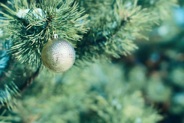 Altın Noel Top Köknar Dalı Noel Arka Plan Kar Taneleri — Stok fotoğraf