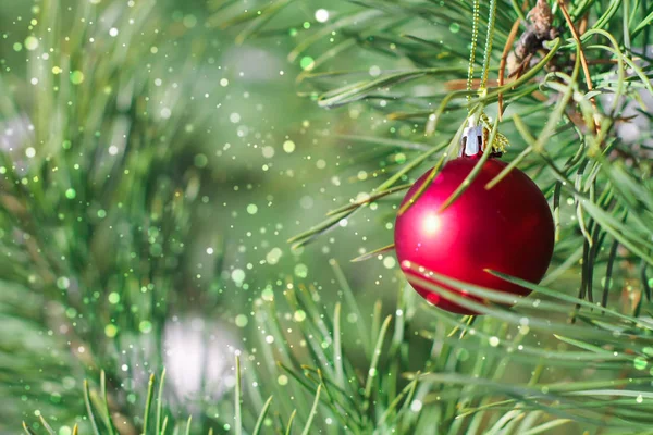 Kırmızı Noel Top Köknar Dalı Noel Arka Plan Kar Taneleri — Stok fotoğraf