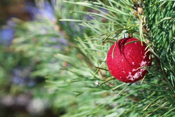 Palla Natale Rossa Sul Ramo Abete Sfondo Natalizio Fiocchi Neve — Foto Stock