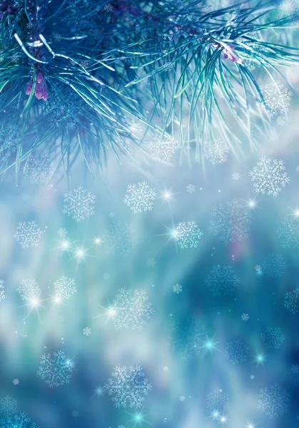 Groenblijvende Pijnboomtakken Een Prachtige Besneeuwde Kerstmis Achtergrond Met Sneeuwvlokken Bokeh — Stockfoto