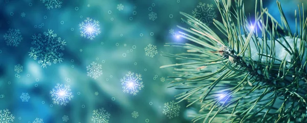Rami Pino Sempreverde Favoloso Innevato Sfondo Natale Con Bokeh Fiocchi — Foto Stock
