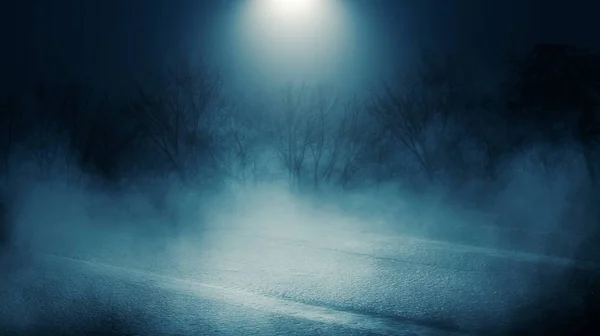 Background scene of empty street. Night view of the river, night sky with clouds, silhouettes of trees, light reflected on water. Smoke fog