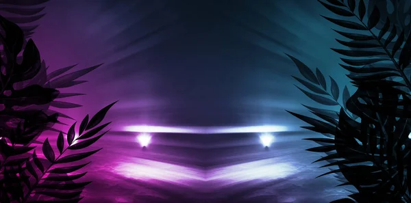 Fundo de cenas escuras vazias com luzes e formas de néon, fumaça. Silhuetas de folhas tropicais em primeiro plano — Fotografia de Stock