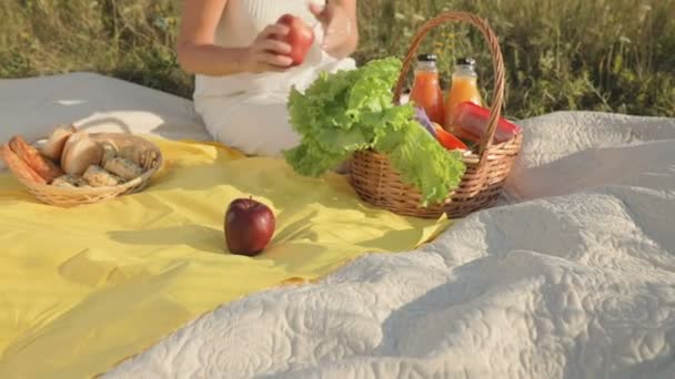 Nimmt Die Frau Obst Und Getränke Aus Dem Korb Und — Stockvideo