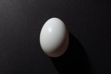 Siyah arkaplanda beyaz yumurta