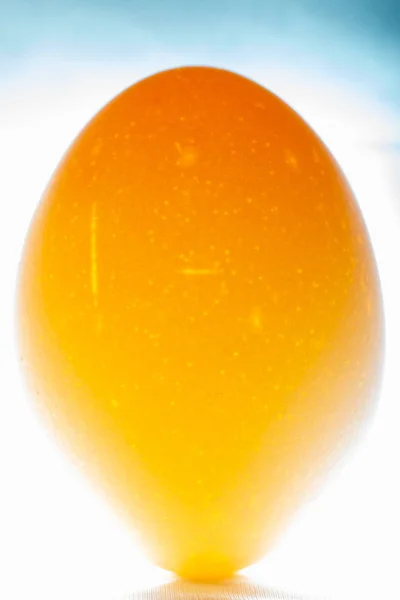 Egg up to the light — Stock Photo, Image