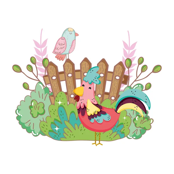 Κιρίκου Πουλί Φάρμα Κήπο Και Φράχτη Σχεδιασμό Εικονογράφηση Διάνυσμα — Διανυσματικό Αρχείο