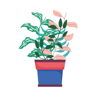 şirin houseplant çiçek dekorasyon vektör çizim tasarım