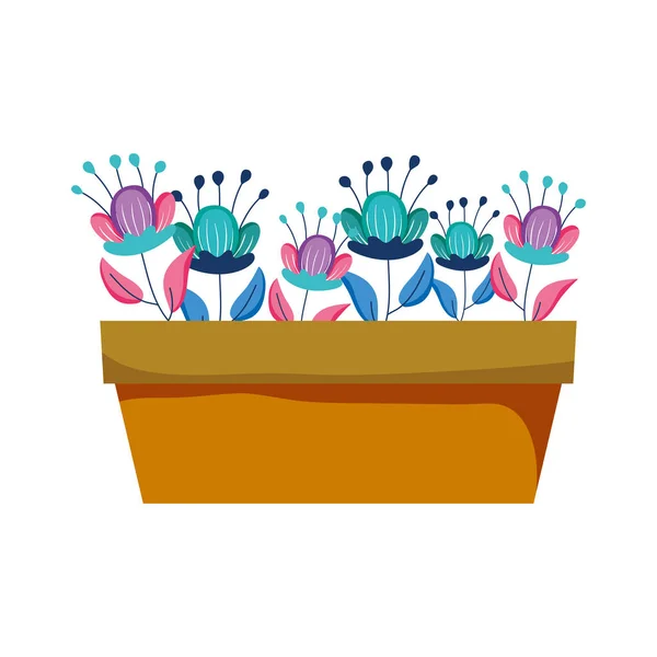 可爱的室内植物花卉装饰矢量插图设计 — 图库矢量图片