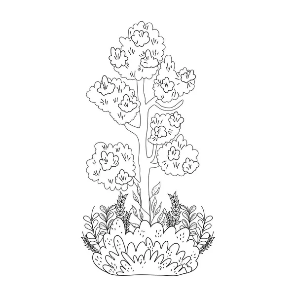 Baumpflanze Mit Garten Vektor Illustration Design — Stockvektor