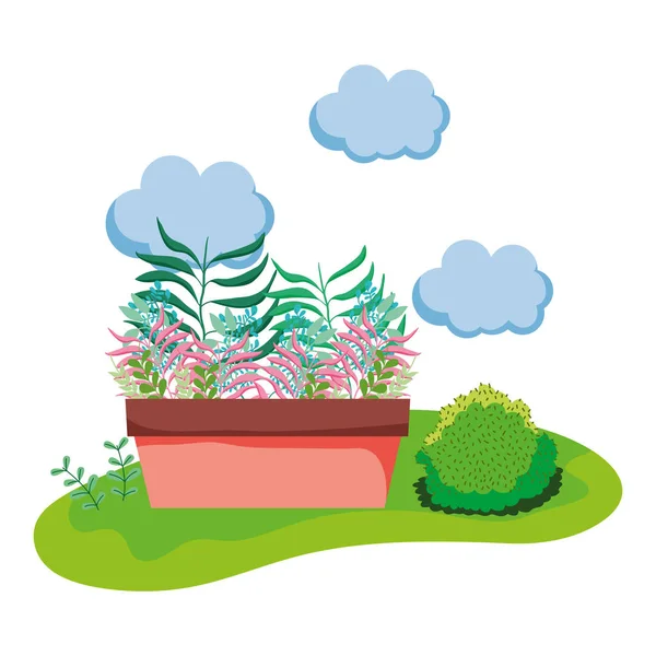 houseplant in the camp scene vector illustration design