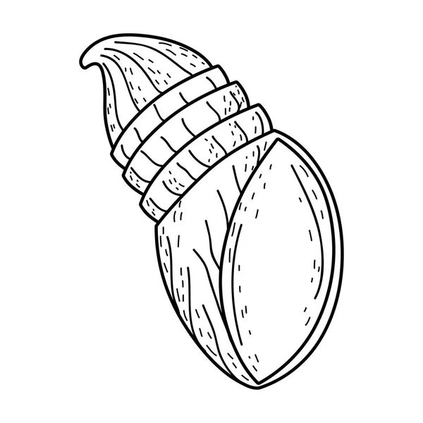 Cute Snail Shell Icon Vector Illustration Design — Stock Vector