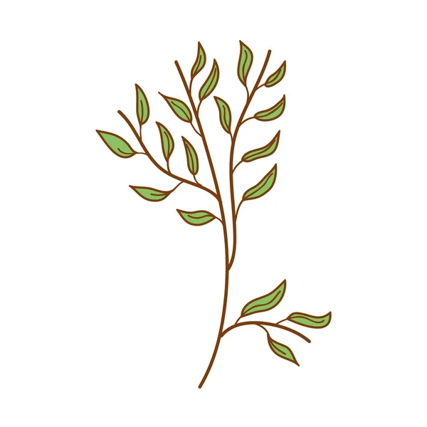 Növények Aranyos Természet Vektoros Illusztráció Grafikai Tervezés — Stock Vector