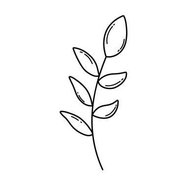 şube ile bitki vektör çizim tasarım yapraklar