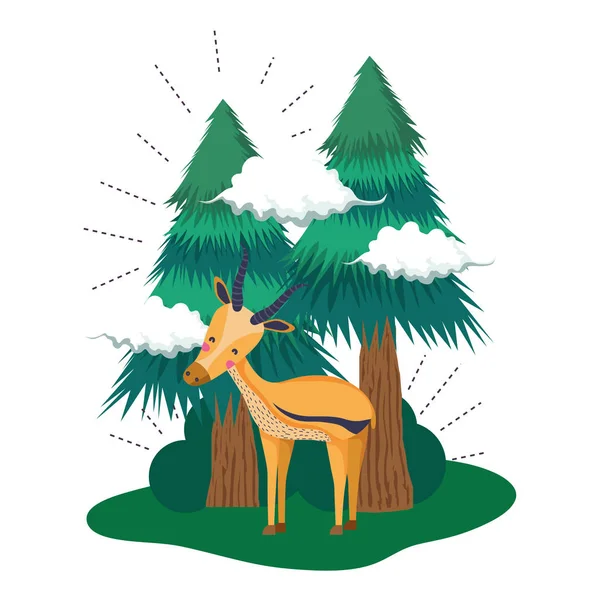 Cervos Bonitos Projeto Ilustração Vetorial Paisagem — Vetor de Stock