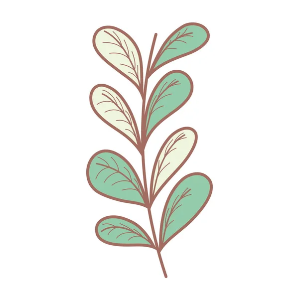 Levelek Növény Vektoros Illusztráció Design — Stock Vector