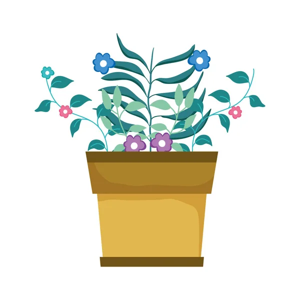 Cute Houseplant Floral Decoration Vector Illustration Design — Stock Vector