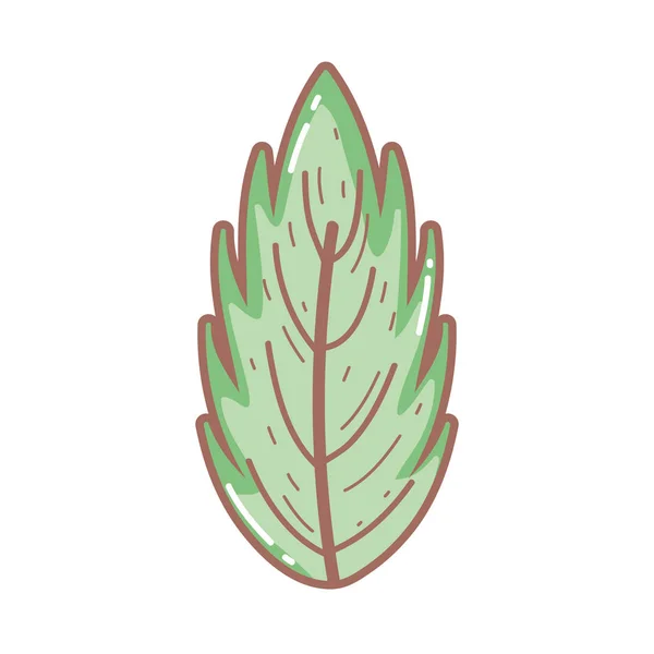 Leaf Plant Isolated Icon Vector Illustration Design — Stock Vector