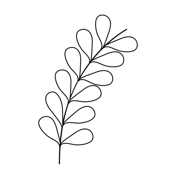 Zweig Mit Blättern Pflanzenvektor Illustration Design — Stockvektor