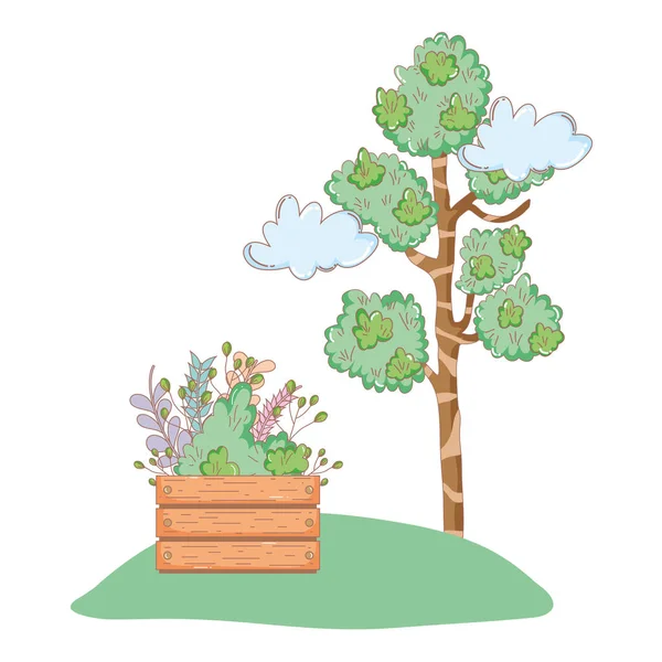 Planta Árbol Con Flores Jardín Maceta Madera Vector Ilustración Diseño — Vector de stock