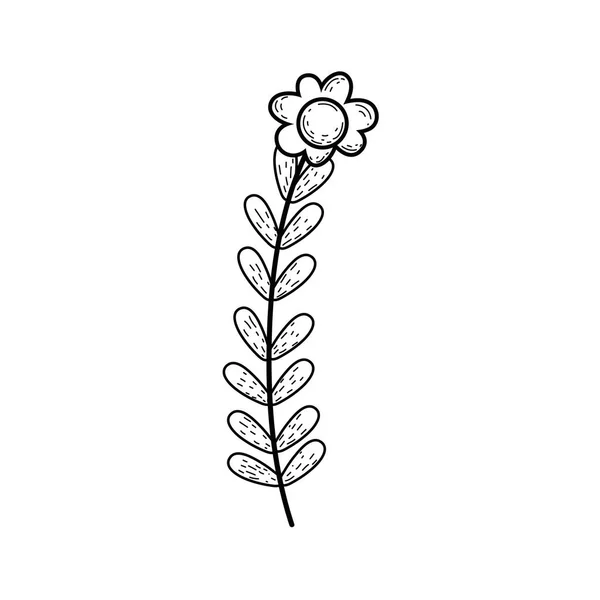 Niedliche Blume Mit Blättern Vektor Illustration Design — Stockvektor