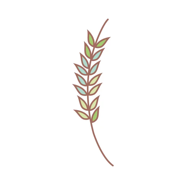 Κλαδί Φύλλα Φυτών Σχεδιασμό Εικονογράφηση Διάνυσμα — Διανυσματικό Αρχείο