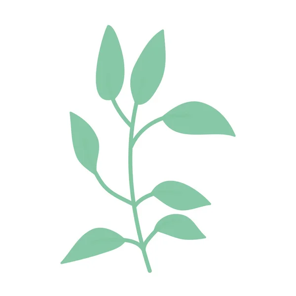 分支与叶植物向量例证设计 — 图库矢量图片
