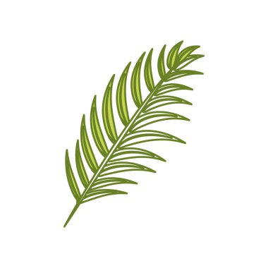 tropikal dal yaprakları bitki, vektör illüstrasyon tasarımı