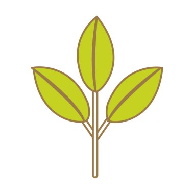 güzel ekoloji bitki yaprakları, vektör çizim tasarım ile