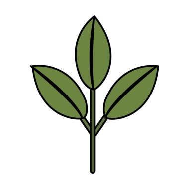 güzel ekoloji bitki yaprakları, vektör çizim tasarım ile