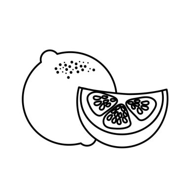 satır taze limon dilimi organ meyve gıda, vektör çizim ile