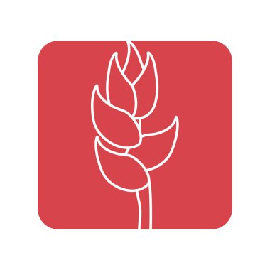 etiket güzellik egzotik ve tropikal çiçek şube, vektör çizim