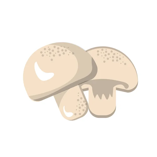 Deliciosos Cogumelos Frescos Órgão Alimentos Ilustração Vetorial —  Vetores de Stock