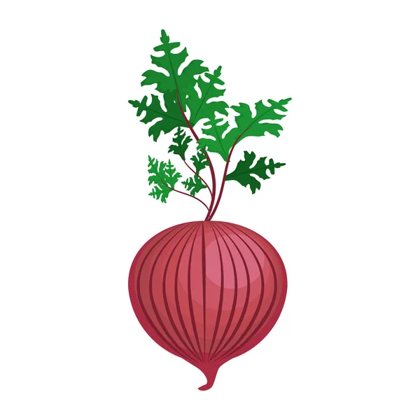 Cebolla Fresca Con Alimento Para Órganos Vegetales Ilustración Vectorial — Vector de stock