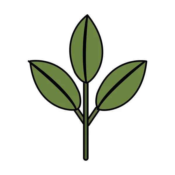 美好的生态学植物与叶子 向量例证设计 — 图库矢量图片