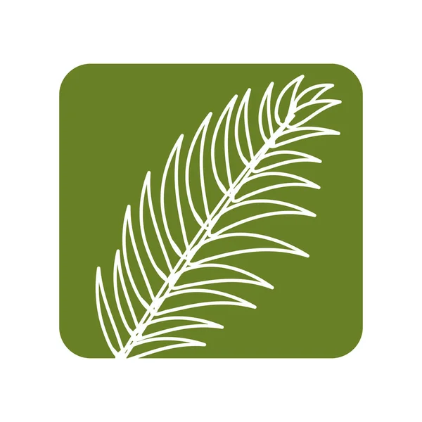 Label Tropical Branch Leaves Plant Vector Illustration Design — Stock Vector