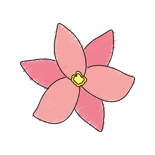 Όμορφα Και Τροπικά Φυτά Λουλουδιών Πέταλα Απεικόνιση Διάνυσμα — Διανυσματικό Αρχείο