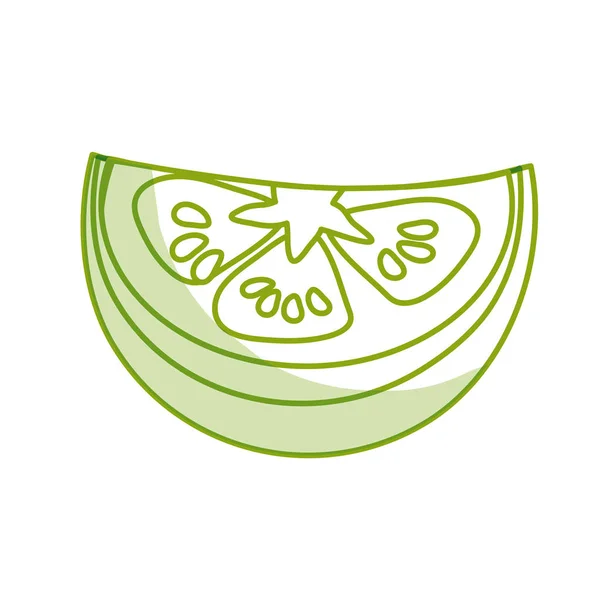 シルエット ベクトル図トマト オルガン野菜の新鮮な作品 — ストックベクタ