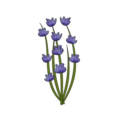 chives plant ingredient to condiment of food vector illustration
