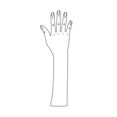 özel bir gün, vektör çizim kutluyor kadar sevimli el