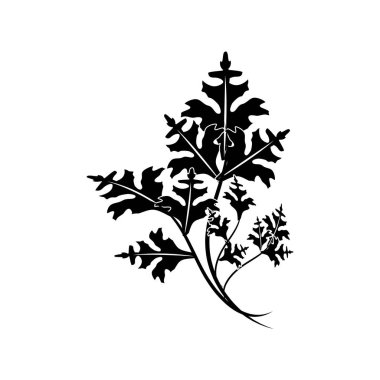 kontur taze soğan yaprak bitkiler sağlıklı yiyecek, vektör çizim