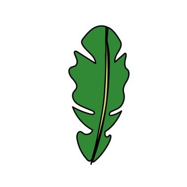 beautiful leaf of the exotic plants in the forest, vector illustration